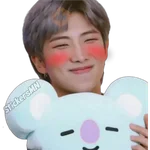 RM - BTS 🧑🏻‍🎤