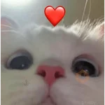 ❤️ Buenos días Amor 🥰Bza 
