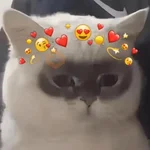 ❤️ Buenos días Amor 🥰Bza 
