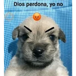 Que mira bobo 🤔🤑 

