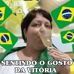 memes copa 🇧🇷 
