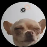 PEDRO PEDRO PEDRO 
