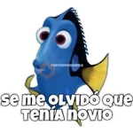 Dory olvidadiza 
