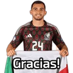 Selección Mexicana🇲🇽CopaAmerica 
