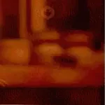 Ratatouille GIFs 
