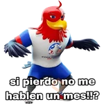🏆 Copa América 2024 ⚽memes ✨ 

