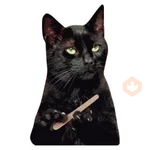 Salem Saberhagen (Sabrina the Teenage Witch)