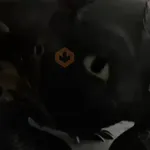 Chimuelo Dragon
