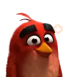 Meme Angry Birds 
