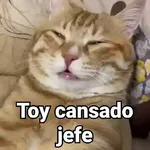 🤎Gatitos con Frases⓷🐈‍⬛😼
