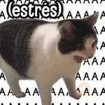 ✎ Respuestas Facheras #➊
