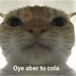 a ver tu cola 😎memes
