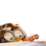 Mi Villano favorito 4
