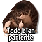 Gatitos pa tu Chat😺💗
