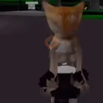 🐱 Gato Roblox 💫baile 😹💫 
