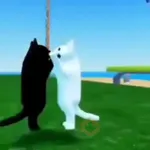 🐱 Gato Roblox 💫baile 😹💫 
