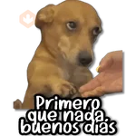 Michis & Perros #➊ 😹🐶