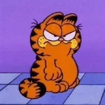 Garfield y sus caras🧡🐱✨ 
