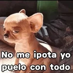 👂No me importa yo♥️ memes🔥 
