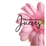 Martes a Viernes 🗓️² 
