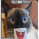 🤣¡Martes!😭 
