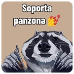 Mapaches y Ranitas 
