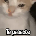 Randoms pa' Enviar 📽️ #➊ 
