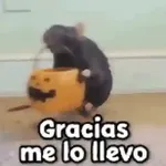 🎃 Halloween Pets 🎃 
