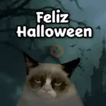 🎃 Halloween Pets 🎃 

