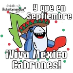 Amor en México 🇲🇽 🦈 😁😍 
