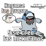 Amor en México 🇲🇽 🦈 😁😍 

