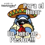 Amor en México 🇲🇽 🦈 😁😍 
