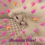 Explosión de amor 6💘💕💓💗💖💝 
