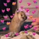 Explosión de amor 6💘💕💓💗💖💝 
