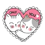 feliz san valentin❤ 
