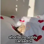 Estoy cansado jefe 😫  
