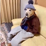 Perritos que tienen frío❄️✨ 
