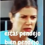 estas bien pendejo  
