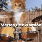 Animalitos para el chat💕 

