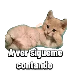 Michis memes 😹😼 
