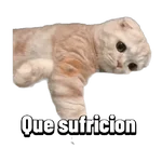 Michis memes 😹😼 

