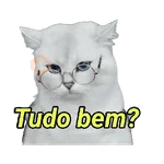 Michis memes 😹😼 
