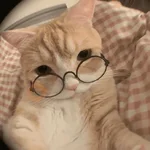 MICHIS 🥰🐱 

