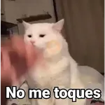 Gatitos Locos 2😼 

