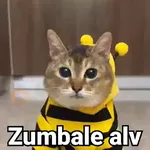 Gatitos Locos 2😼 
