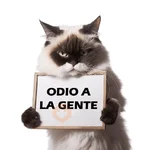Michis Reacciones 2🐱✨ 

