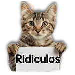 Michi mensajes gatito 🐱📩 
