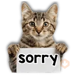 Michi mensajes gatito 🐱📩 
