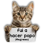 Michi mensajes gatito 🐱📩 
