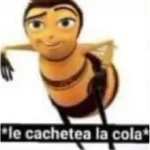 quiere que le baile 
